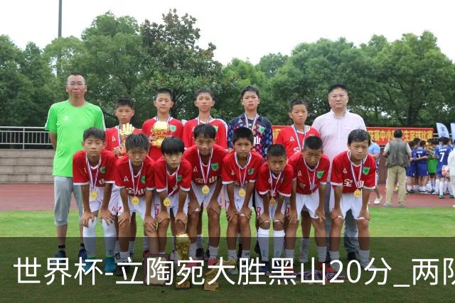 世界杯-立陶宛大胜黑山20分 两队携手晋级16强