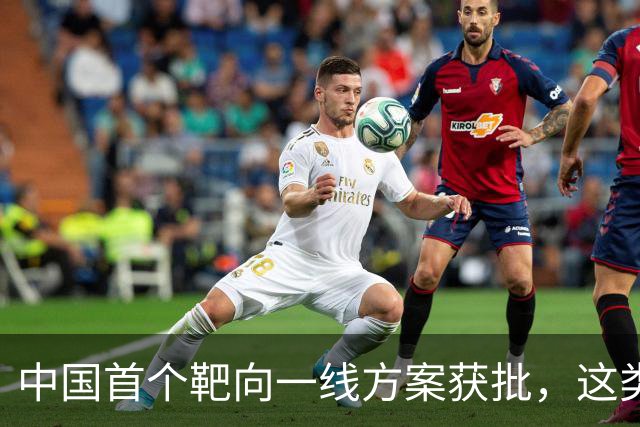 中国首个靶向一线方案获批，这类外周T细胞淋巴瘤迎新选择
