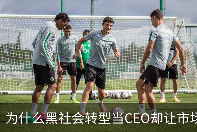 为什么黑社会转型当CEO却让市场更乱了