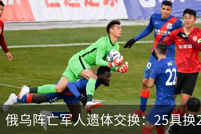 俄乌阵亡军人遗体交换：25具换252具，这次交换比是1：10