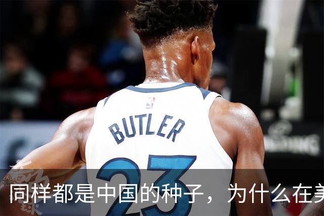 同样都是中国的种子，为什么在美国种出的水稻，亩产要比中国高？