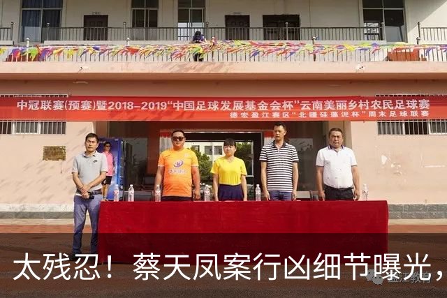 太残忍！蔡天凤案行凶细节曝光，尸体分装俩箱子，躯干和手没找到