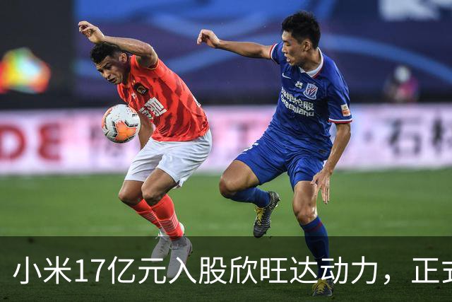 小米17亿元入股欣旺达动力，正式成为第三大股东