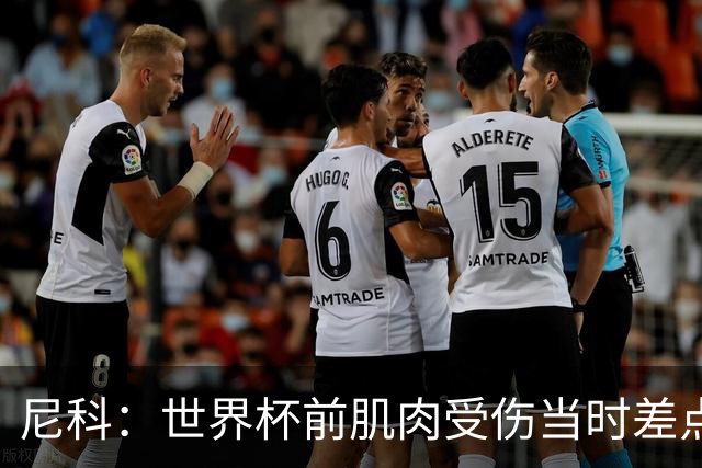 尼科：世界杯前肌肉受伤当时差点心凉了，得知能很快康复非常激动