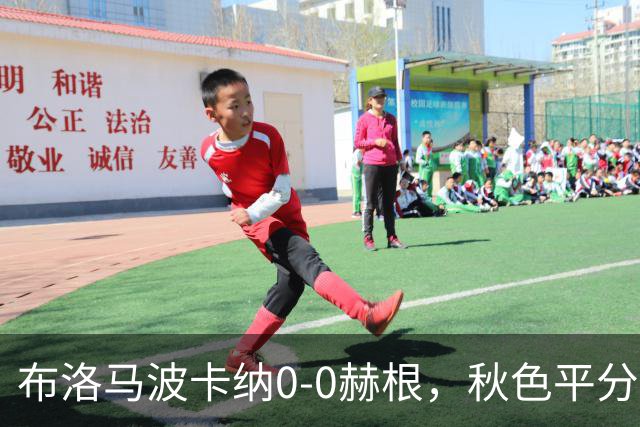 布洛马波卡纳0-0赫根，秋色平分