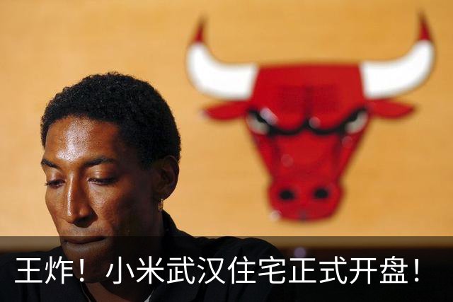 王炸！小米武汉住宅正式开盘！