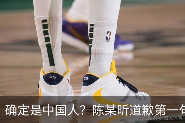确定是中国人？陈某昕道歉第一句话就“露馅”了，央视公布新进展