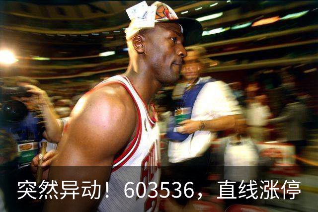 突然异动！603536，直线涨停