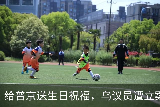 给普京送生日祝福，乌议员遭立案调查