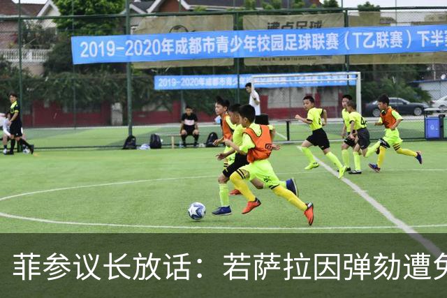 菲参议长放话：若萨拉因弹劾遭免职，将因利益冲突拒绝接任！