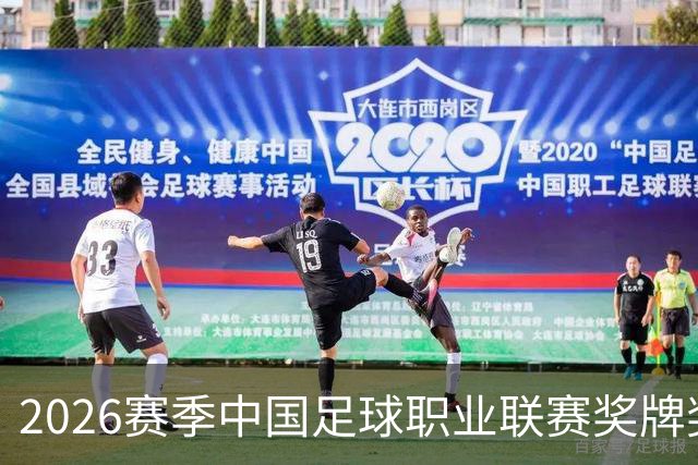 2026赛季中国足球职业联赛奖牌奖杯奖盘供应商征集-结果公告